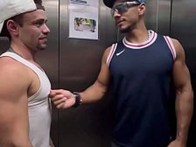 绝美伪娘用迷离眼神凝视镜头 hunk gay japan porn